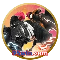 95win.com